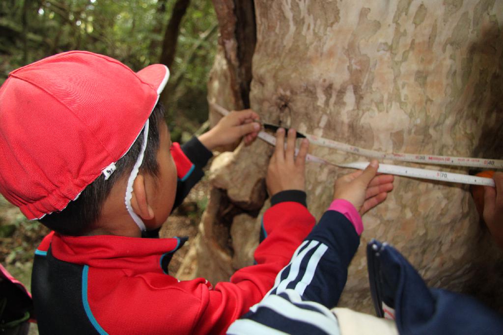 八幡小学校へようこそ（Top）